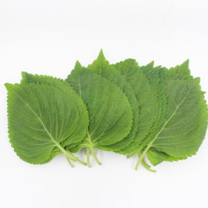 향긋한 유기농 깻잎 500g / 1kg 쌈 장아찌용 밑반찬만들기용 생깻잎