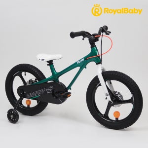 로얄베이비 문5 프로 유아 어린이 자전거 40.6cm(16인치), 그린