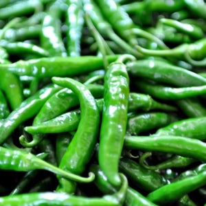 청양 고추 청량 매운 땡초 특 2kg, 1개