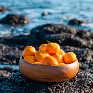 올레길감귤 12brix이상 고당도 제주직송 중과, 3kg, 1개