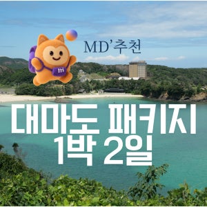 대마도 1박2일 패키지 여행 쓰시마링크호 소아루 리조트