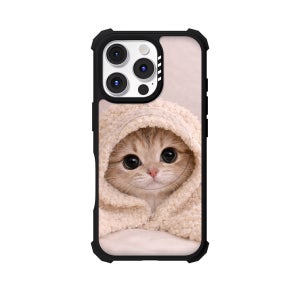 자력2배 몽글아기고양이 아이폰 임팩트 맥세이프 범퍼 케이스