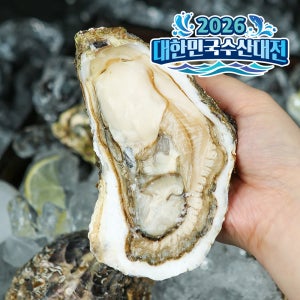 통영 삼배체굴 석화 반각굴