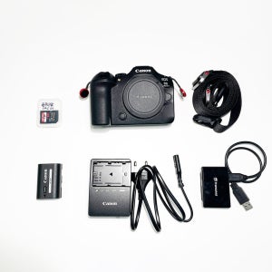 [대여] 캐논 R6Mark3 r6m3 미러리스 카메라 알육막삼 렌탈 렌트