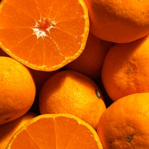 제주 감귤 노지감귤 고당도 귤 5kg 10kg 산지직송 건이농장 (박스포함)