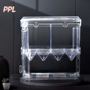 아크릴 부화통 수족관 격리통 어항 치어통 사육 열대어 구피