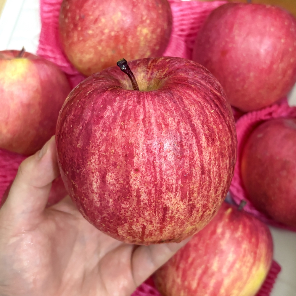 유기농 사과 부사 가정용 경북 못난이 꿀 사과 5kg 3kg
