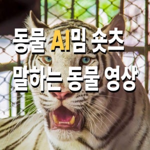 동물 AI 밈 숏츠 동영상 제작 말하는 동물 영상 숏폼 숏클립