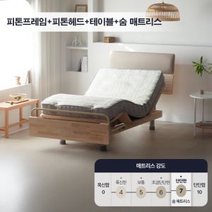 오키멧 피톤 모션베드 SS 피톤헤드 테이블 매트리스 세트 리클라이너 모션침대