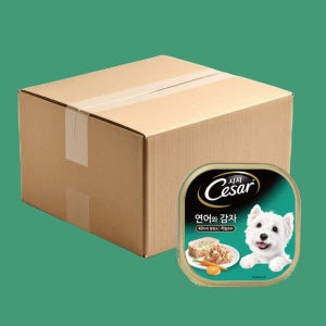 [8박스] 시저 캔 강아지 습식캔 1세이상 연어와 감자, 100g, 192개
