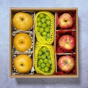 달가 달콤가득 혼합 과일세트