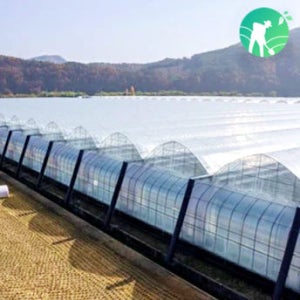 0.15mm 코팅스트롱 16m x 80m PO필름 하우스 비닐 중장기성 두꺼운 비닐