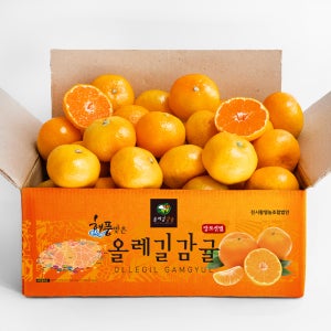 올레길감귤 11brix이상 당도선별 제주직송 중과, 5kg, 1개
