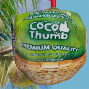 [맛] 영코코넛1개 야자수열매 수분보충 태국