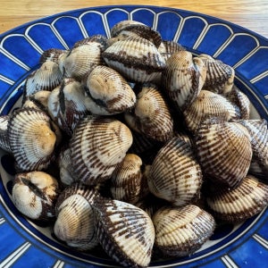 [당일수확] 속이 꽉차고 탱글탱글한 벌교 꼬막 상, 5kg, 1개