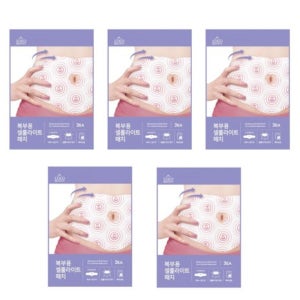 붙이는 다이어트 패치 복부 비만 하체 팔뚝살 셀룰라이트 지방 감소 슬림 패치 3매 5박스