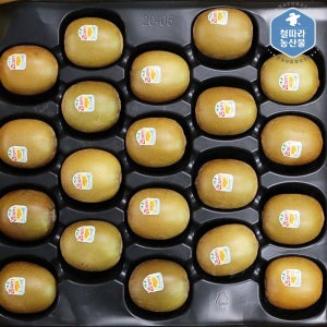 제주 제스프리 골드키위 선물세트 설 명절 선물용