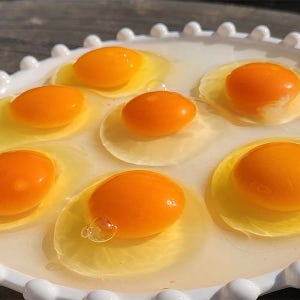 아스타잔틴 유정란 아스타란 20알 난각번호1번 계란 달걀 정기배송 자연방사