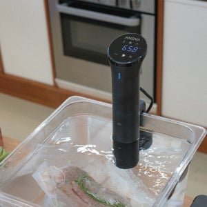 아노바 나노 수비드 머신