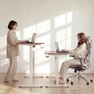 모디슨 모션데스크 전동 높이조절 원목 스텐딩 책상 1000 1200 1600 1800