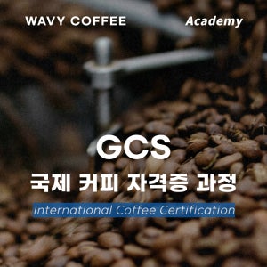 GCS 국제 자격증 바리스타 브루잉 로스팅 대구 커피 교육