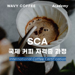 SCA 국제 자격증 바리스타 브루잉 로스팅 대구 커피 교육