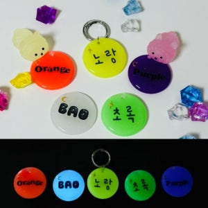 바오하우스 강아지 인식표 고양이 이름표 야광 인식표 주문제작 반려견 이름표 강아지 목걸이