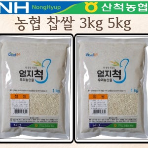 농협 찹쌀 3kg 5kg 2025년산