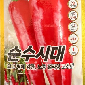 순수시대고추1200립, 극대과 순한맛고추, 복합내병계