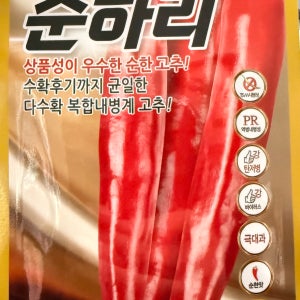 순하리고추1200립, 극대과, 대수확복합내병계 순한맛고추