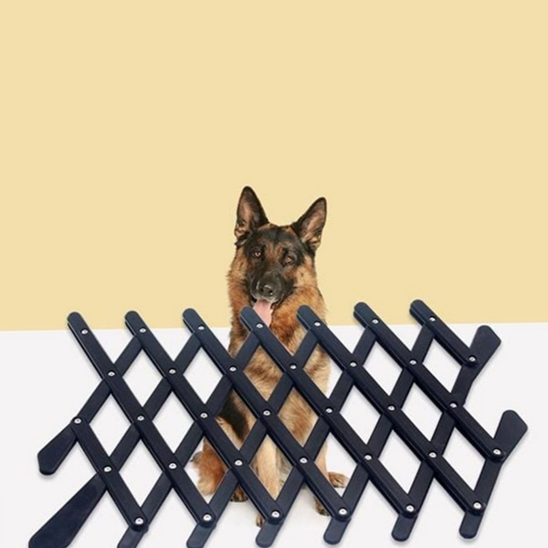 고양이 반려동물 차량 안전 울타리 차량용 강아지 차량 안전 울타리