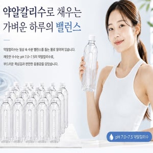 알칼리수 깨끗한수수 SooSoo 500ml, 40개