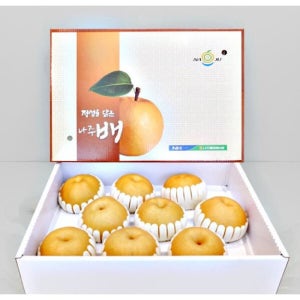 명품 나주 배 특품 7.5kg 7-10과 설선물 추석 명절 과일 선물세트