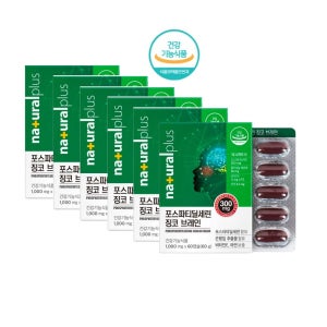 내추럴플러스 포스파티딜세린 징코 브레인 은행잎추출물 60캡슐, 6개