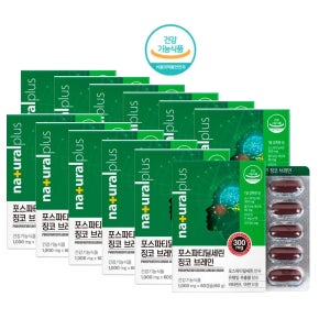 내추럴플러스 포스파티딜세린 징코 브레인 은행잎추출물 60캡슐, 12개