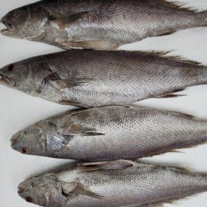 추석 명절 선물세트 고급 반건조 민어 5미