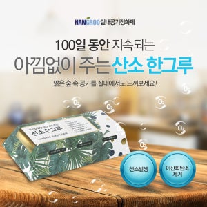 미세오염물질제거, 탈취, 가정용 산소발생 기, 차량용 포름알데히드제거 70g, 1개
