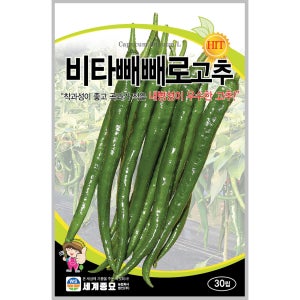비타빼빼로고추30립 / 텃밭 종자 고추씨앗 고추종자