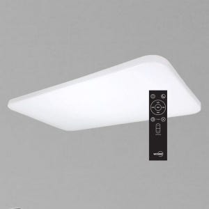 장수 LED 퓨어 스마트 거실2등 리모콘 홈조명 60W