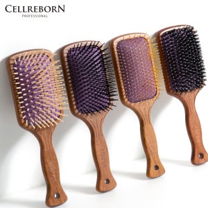 셀리본 아테네 두피브러쉬 돈모 헤어 엉킴방지 두피마사지빗 패들 브러시
