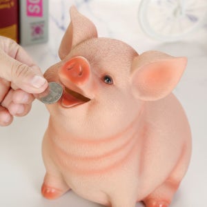 빌리네집 동전먹는 돼지 저금통 개업 새차 고사 돼지머리 대체