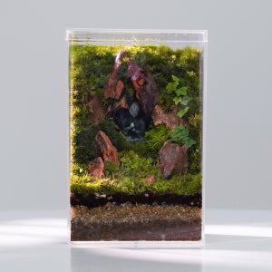 모지움 불상컨셉 하이 테라리움 세트 이끼 비바리움 제주애기모람 비단이끼