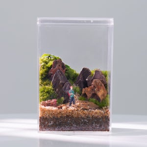 모지움 트레킹컨셉 하이 테라리움 세트 이끼 비바리움 제주애기모람 비단이끼