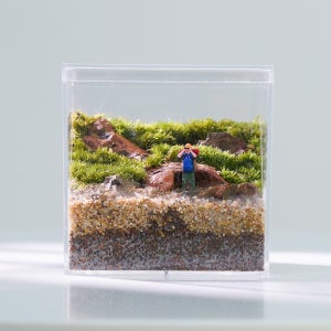 모지움 트레킹컨셉 테라리움 세트 이끼 비바리움 제주애기모람 비단이끼