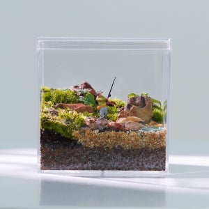 모지움 낚시컨셉 테라리움 세트 이끼 비바리움 제주애기모람 비단이끼