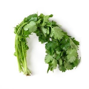 유기농 고수 500g 1kg 대용량 고수풀 향신료 쌀국수재료 동남아식재료