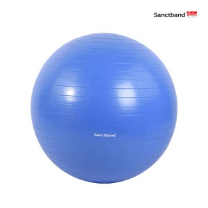 샌트 안티버스트 짐볼 블루베리 75cm 터짐방지 펌프 포함