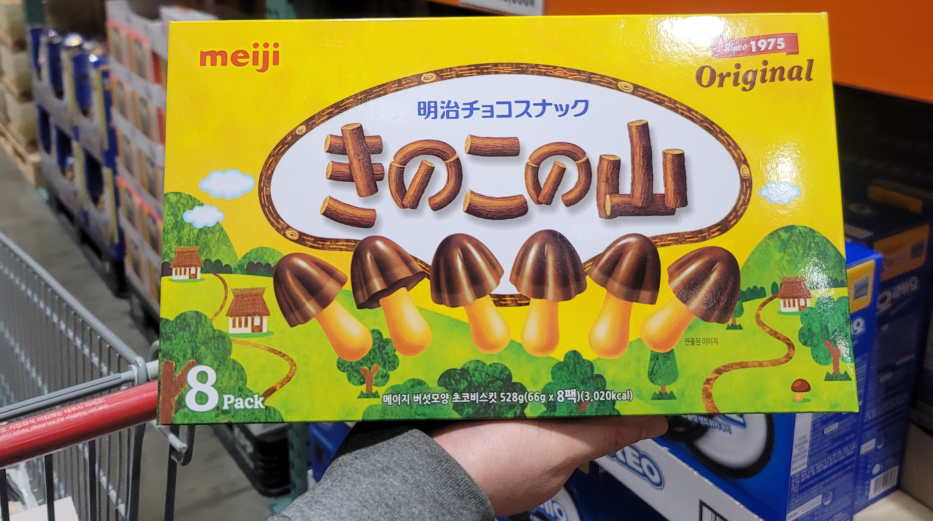메이지 키노코노야마 일본 초코송이 버섯모양과자
