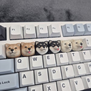 시바견 강아지 포인트 키캡