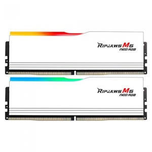 G.SKILL DDR5-6000 CL30 RIPJAWS M5 NEO RGB 화이트 패키지 (64GB(32Gx2)) RAM 메모리